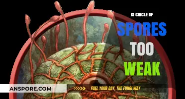 Circle of Spores: Underpowered or Misunderstood in 5e?