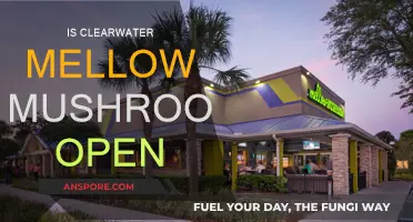 Clearwater's Mellow Mushroom: Open or Closed?