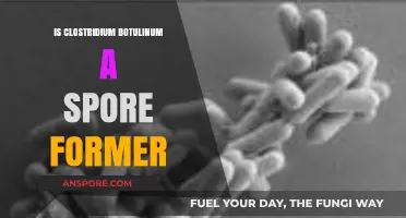 Clostridium Botulinum: Understanding Its Spore-Forming Capabilities and Risks