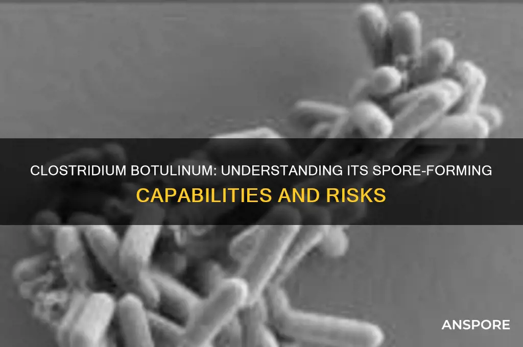 is clostridium botulinum a spore former