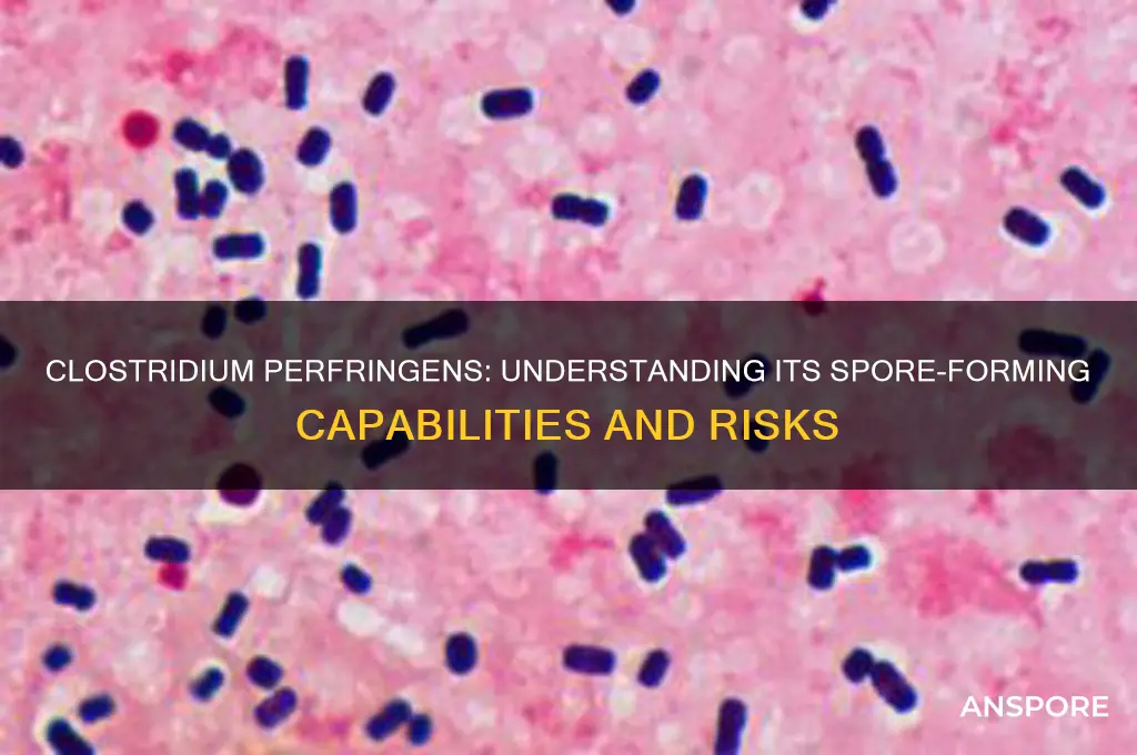 is clostridium perfringens a spore former