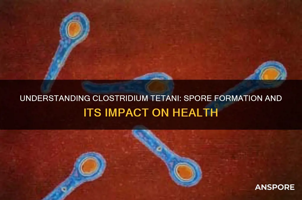 is clostridium tetani spore forming