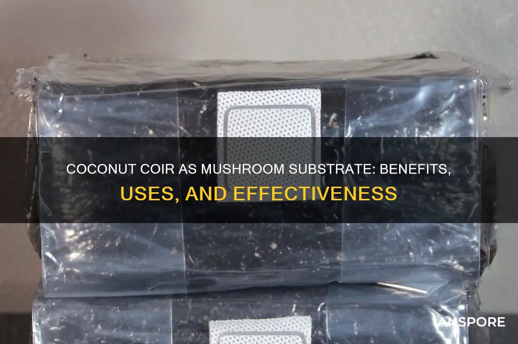 is coconut coir good mushroom substrate