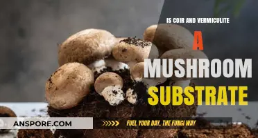 Coir and Vermiculite: Effective Mushroom Substrate Combination Explored