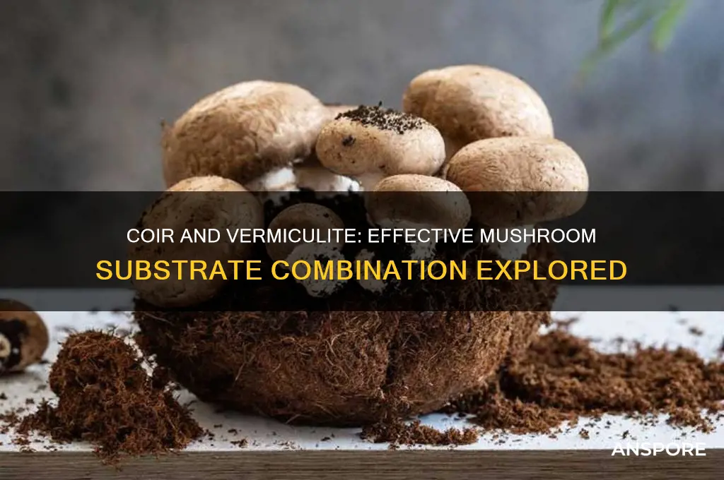 is coir and vermiculite a mushroom substrate