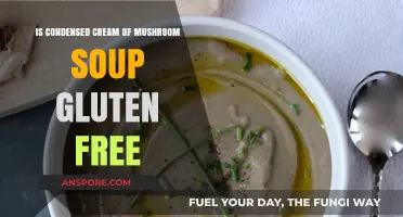 Is Condensed Cream of Mushroom Soup Gluten-Free? Find Out Now