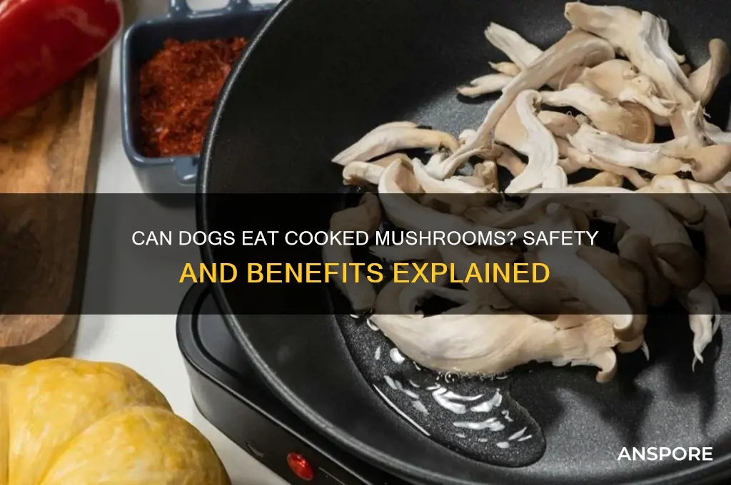 is cooked mushroom good for dogs