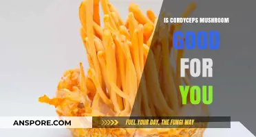 Cordyceps Mushroom Benefits: Unlocking Health Potential and Wellness Insights