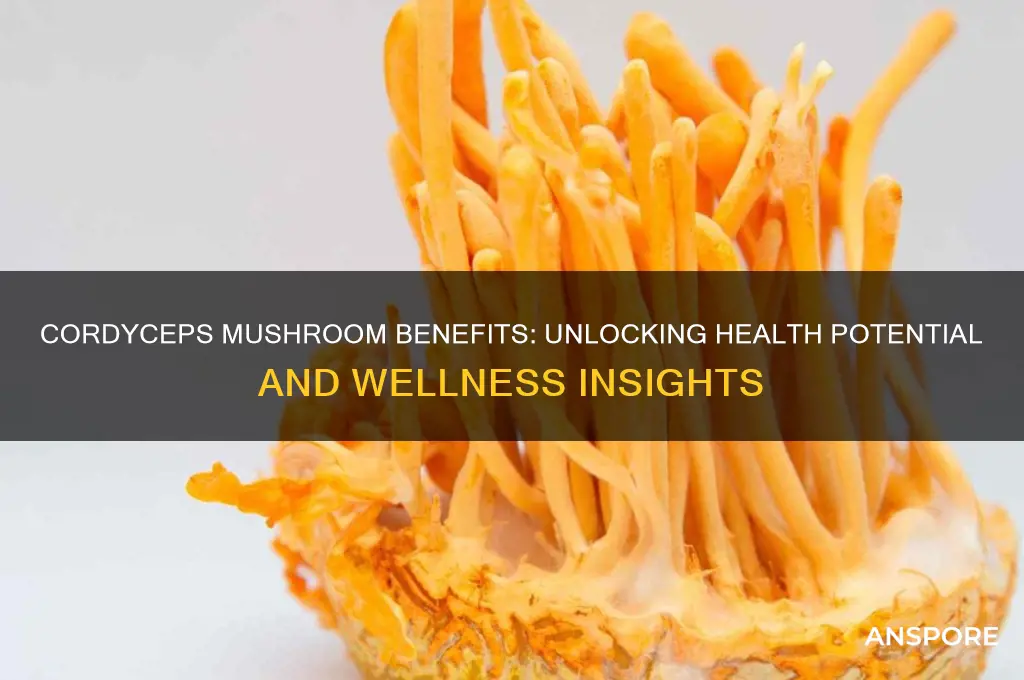 is cordyceps mushroom good for you