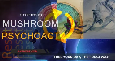 Cordyceps Mushrooms: A Psychoactive Superfood?