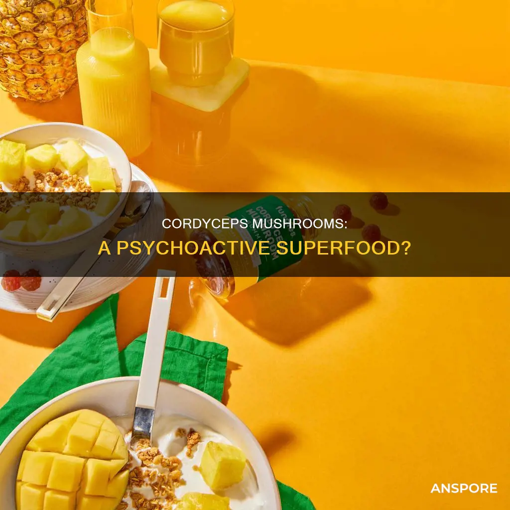 is cordyceps mushroom psychoactive