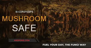 Cordyceps Mushrooms: Safe Superfood?