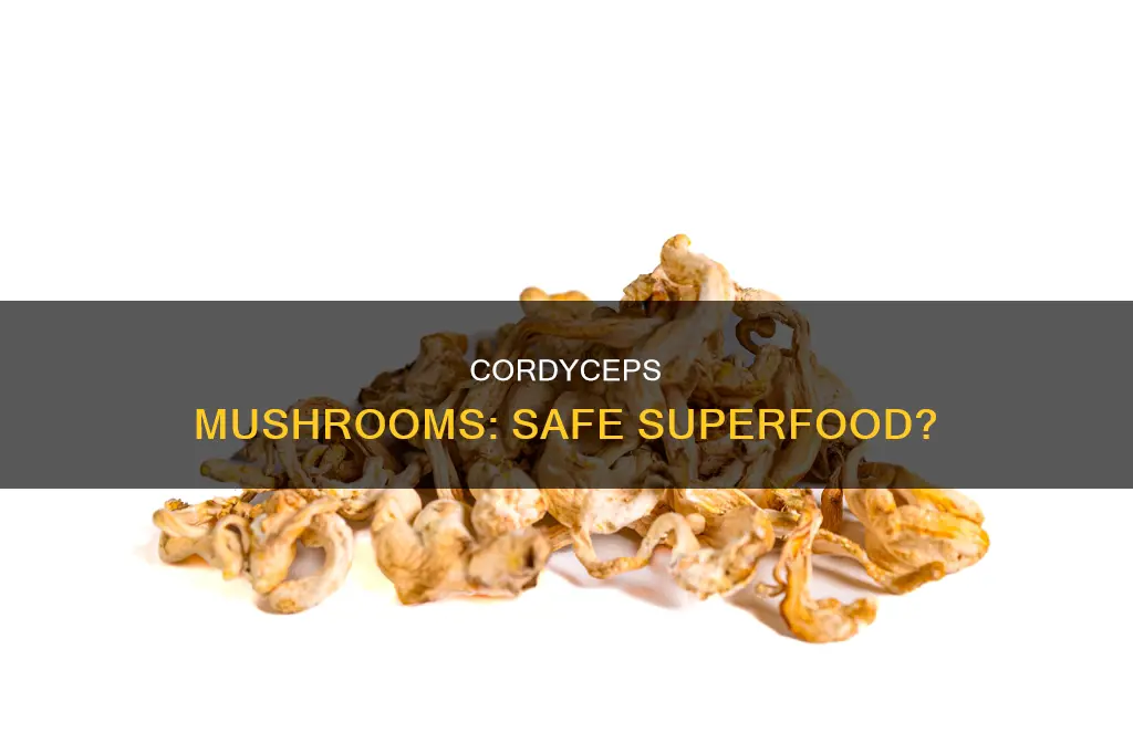 is cordyceps mushroom safe