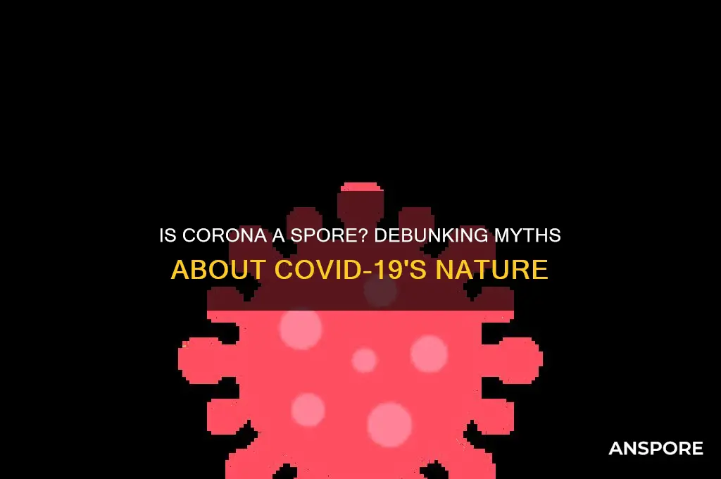 is corona a spore