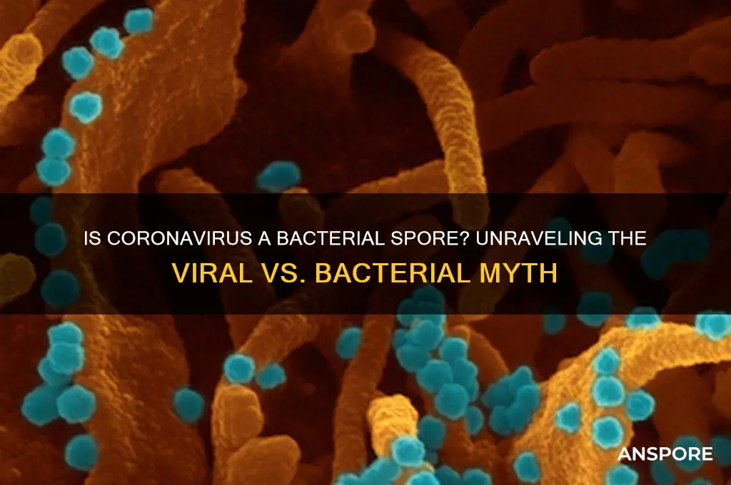 is coronavirus a bacterial spore