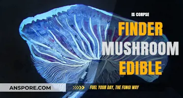 Corpse Finder Mushroom: Edible or Deadly? Unveiling the Truth
