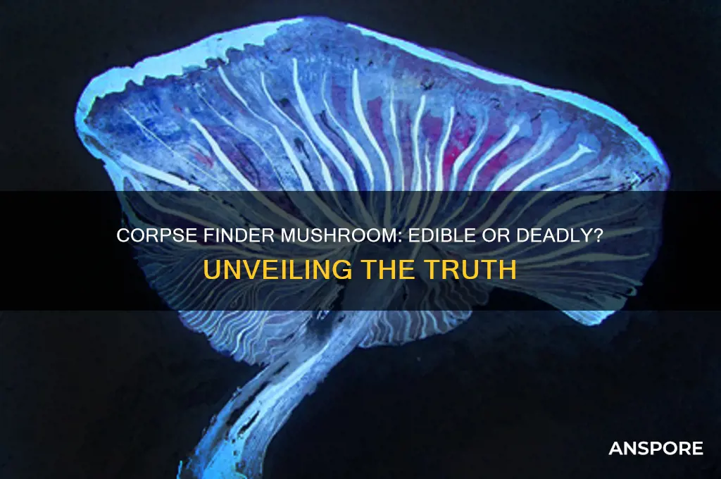 is corpse finder mushroom edible