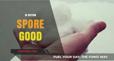 Is Cotton Spore Beneficial? Exploring Its Uses and Effects