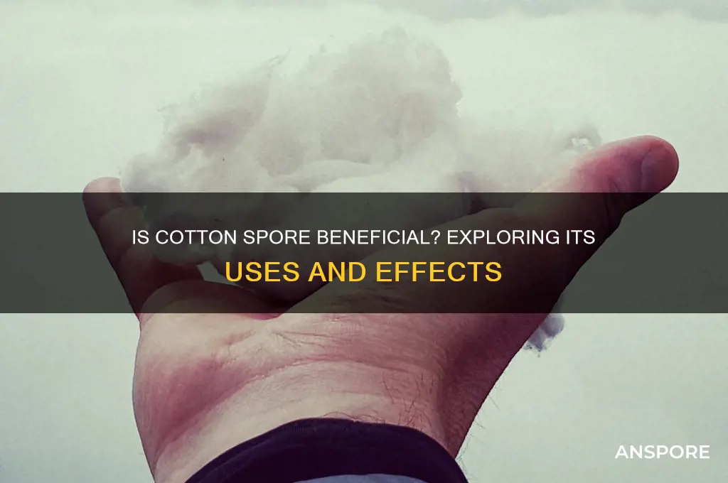 is cotton spore good