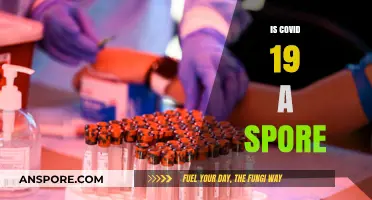 Is COVID-19 a Spore? Unraveling the Virus's Survival Mystery