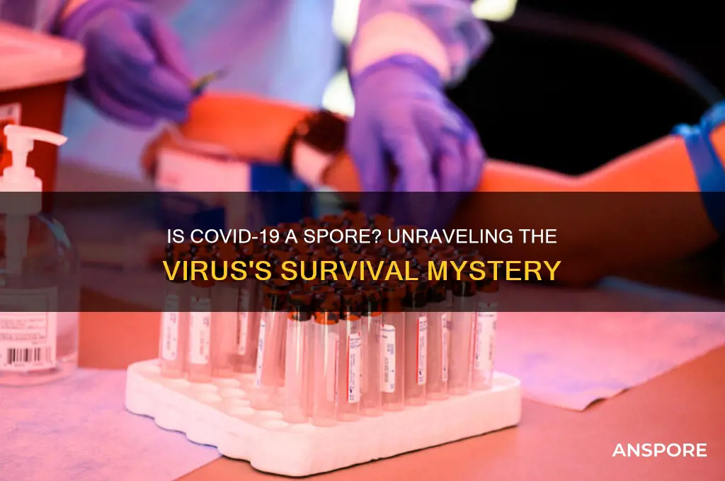is covid 19 a spore