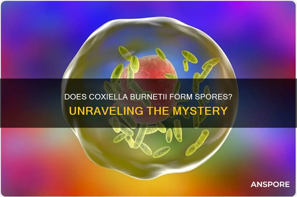 is coxiella burnetii spore forming