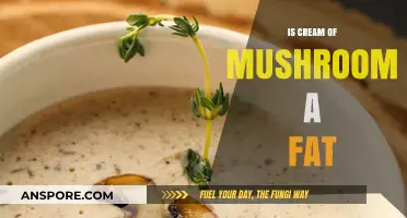 Cream of Mushroom Soup: Uncovering Its Fat Content and Nutritional Value