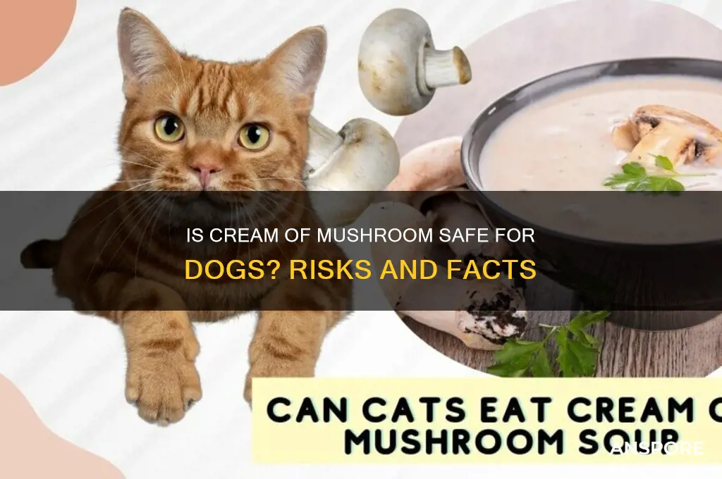 is cream of mushroom bad for dogs