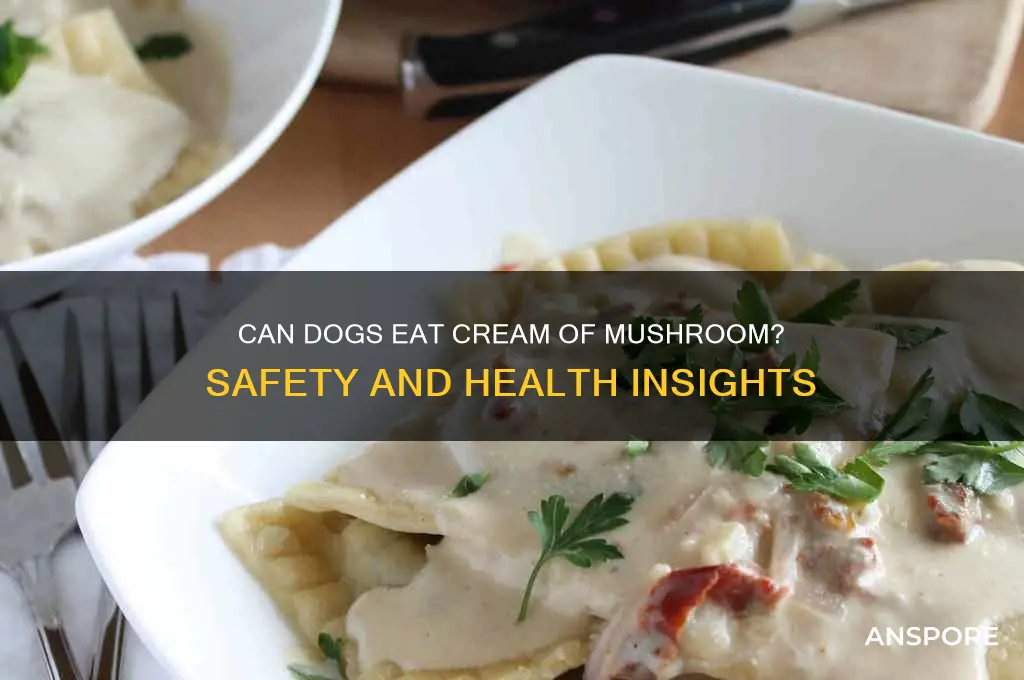 is cream of mushroom good for dogs