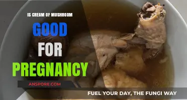 Cream of Mushroom Soup: Safe and Nutritious During Pregnancy?
