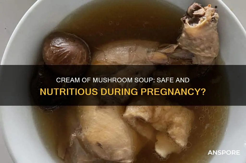 is cream of mushroom good for pregnancy