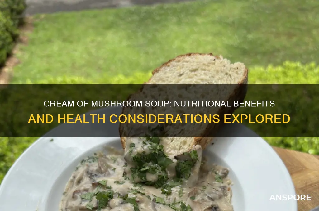 is cream of mushroom good for you