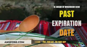 Can You Safely Eat Cream of Mushroom Soup After Expiration?