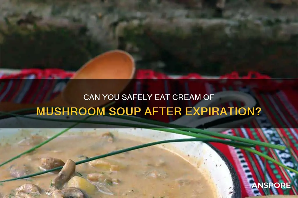 is cream of mushroom good past expiration date
