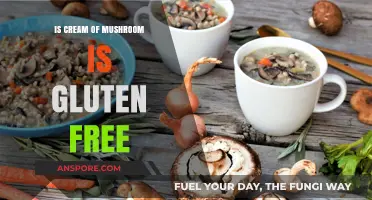 Is Cream of Mushroom Soup Gluten-Free? A Dietary Guide