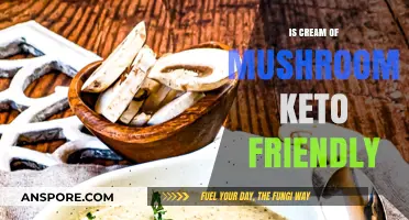 Is Cream of Mushroom Soup Keto-Friendly? A Diet-Friendly Analysis