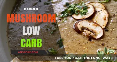 Is Cream of Mushroom Soup Low Carb? A Diet-Friendly Analysis