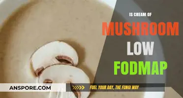 Is Cream of Mushroom Low FODMAP? A Diet-Friendly Soup Guide