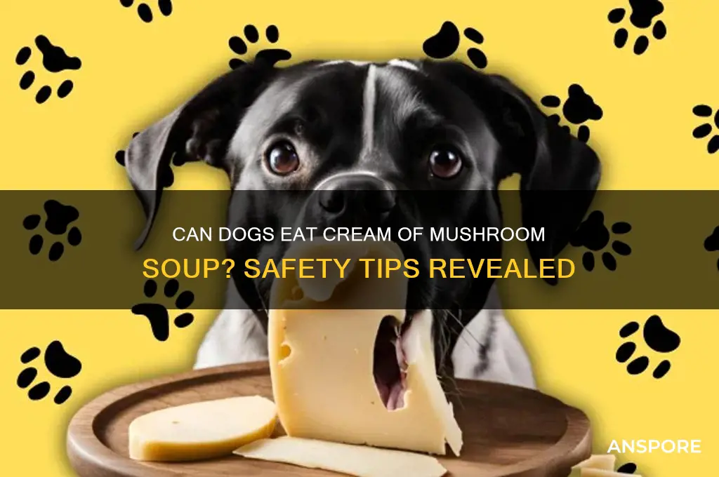 is cream of mushroom ok for dogs