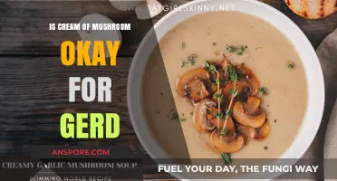 Can You Eat Cream of Mushroom Soup with GERD? Find Out