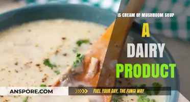 Is Cream of Mushroom Soup Dairy? Unraveling the Ingredients Mystery