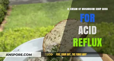 Cream of Mushroom Soup: A Soothing Option for Acid Reflux Relief?
