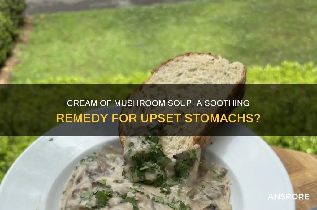 is cream of mushroom soup good for an upset stomach