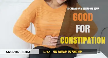 Cream of Mushroom Soup: A Constipation Remedy or Myth?