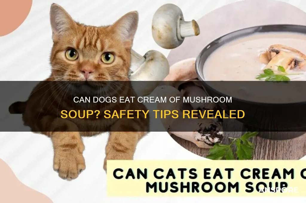 is cream of mushroom soup good for dogs