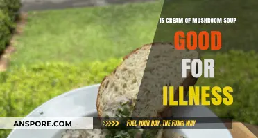 Cream of Mushroom Soup: A Healing Comfort Food or Myth?