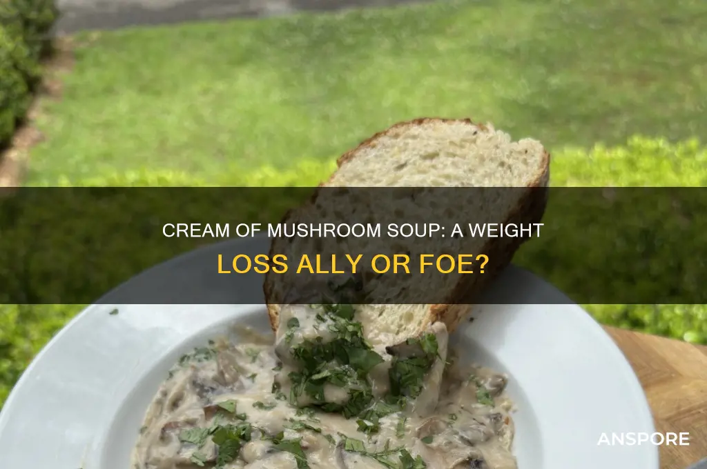 is cream of mushroom soup good for weight loss