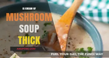 Is Cream of Mushroom Soup Thick? Exploring Its Texture and Consistency