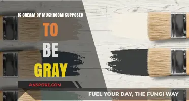 Is Cream of Mushroom Soup Gray? Unraveling the Color Mystery