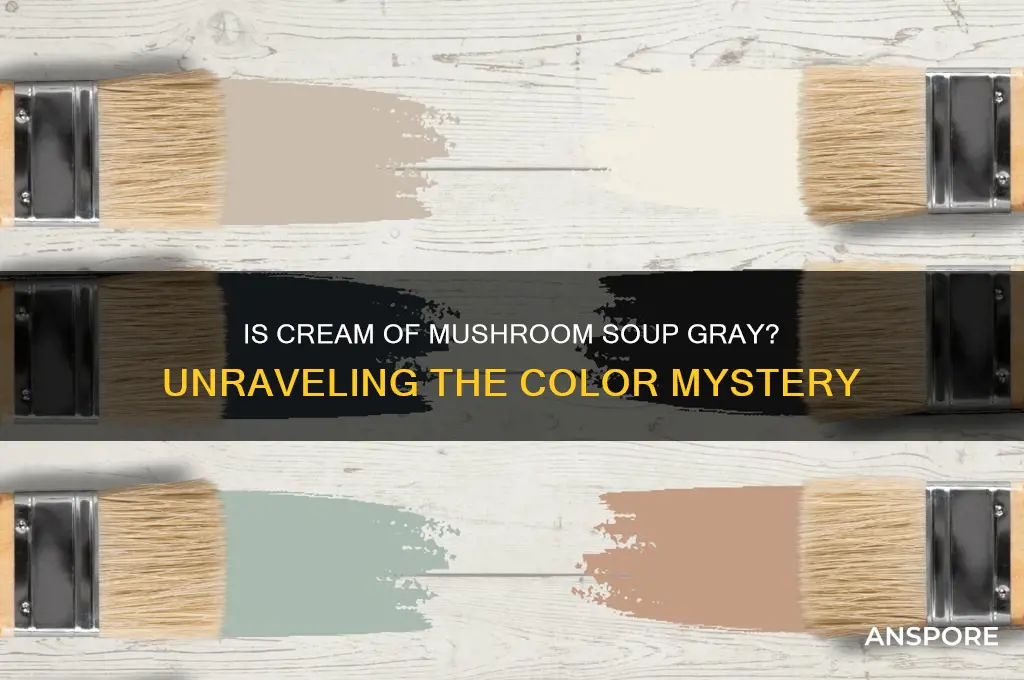 is cream of mushroom supposed to be gray